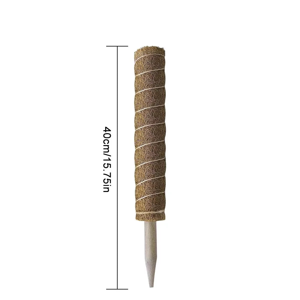 Wspinarko™ – Podpórka, która wie, że rośliny też chcą się wspinać wyżej