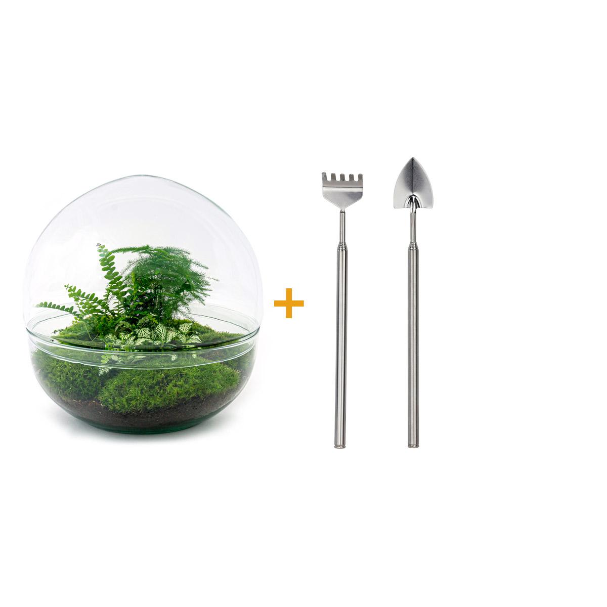 Dome XL™ – Flat Earth Encased in Glass