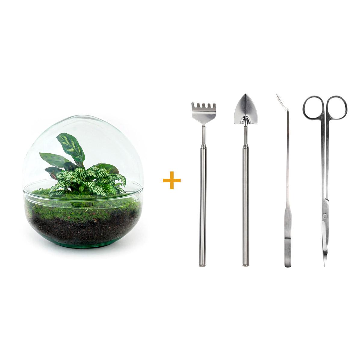 Dome™ – Green Bubble of Peace