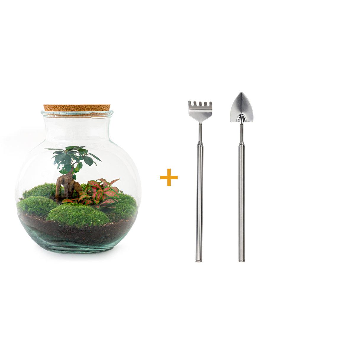 TeddyBons™ – Mikroogród z Charakterem Bonsai