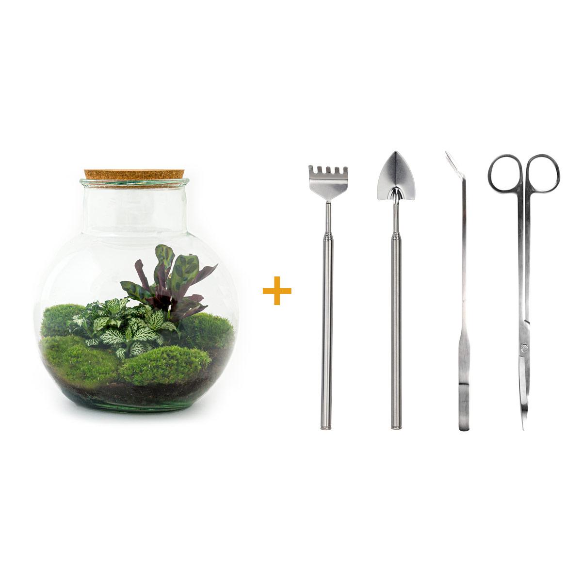 Teddy™ – A Micro-Garden as Cozy as a Teddy Bear