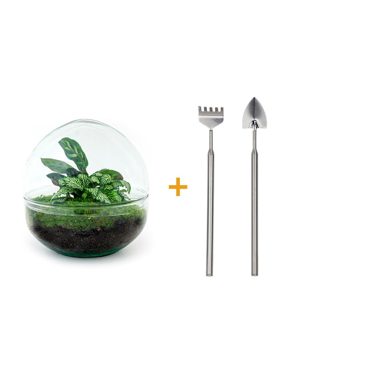 Dome™ – Green Bubble of Peace