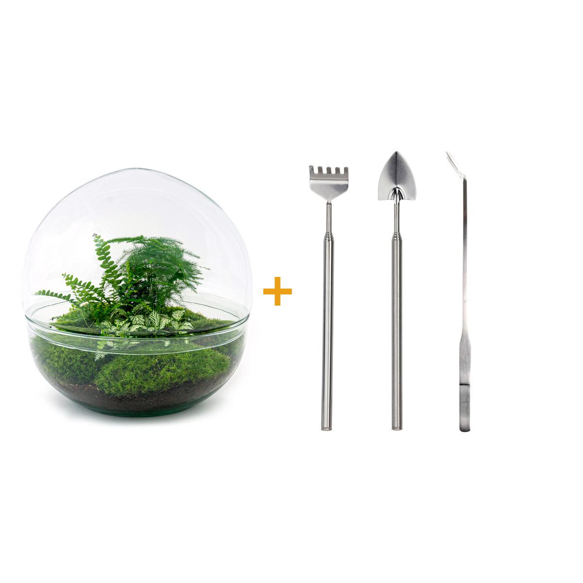 Dome XL™ – Flat Earth Encased in Glass