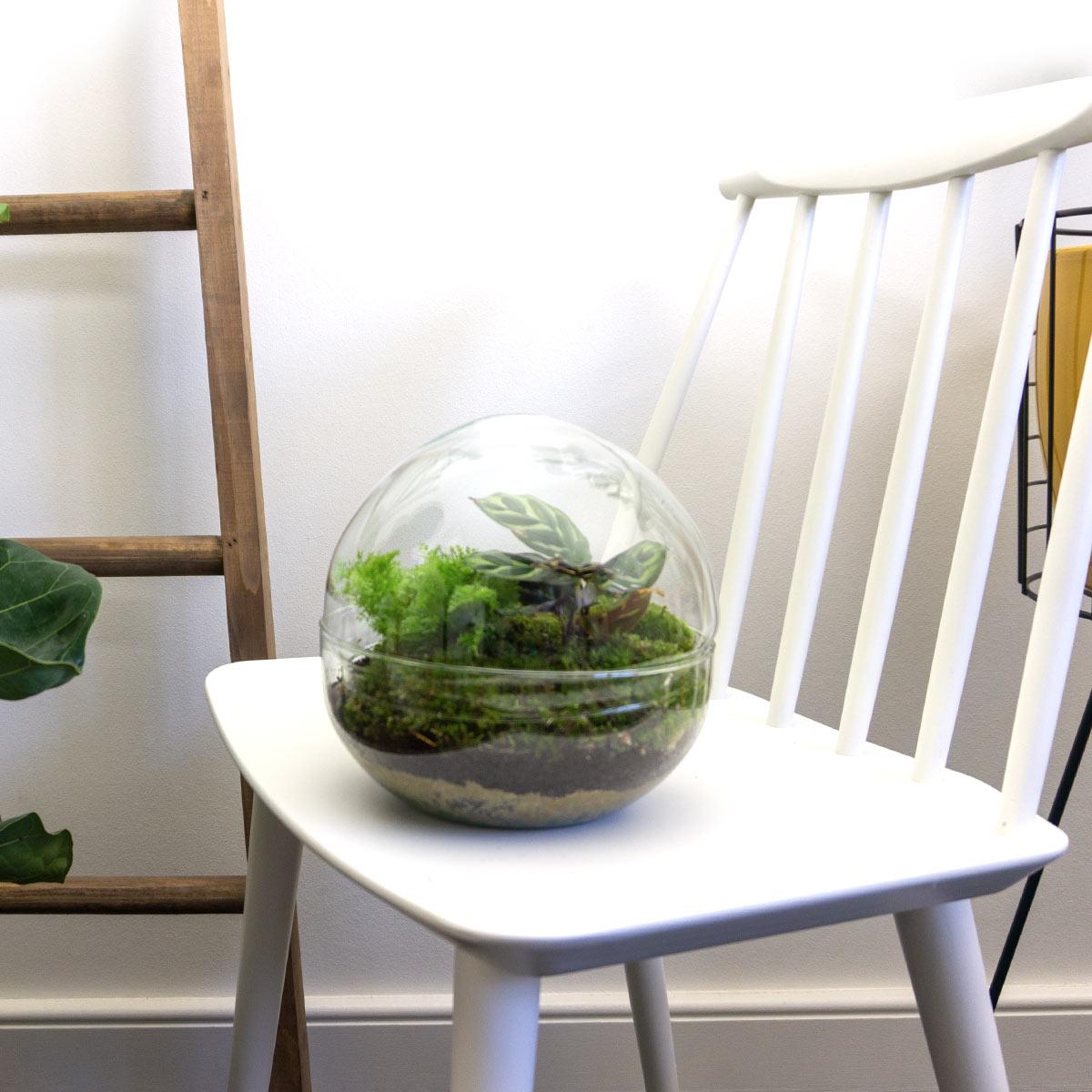 Dome™ – Green Bubble of Peace