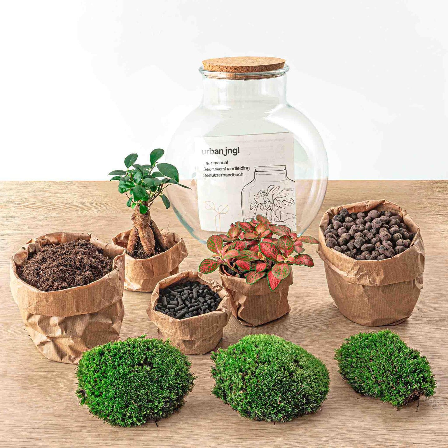 TeddyBons™ – Mikroogród z Charakterem Bonsai