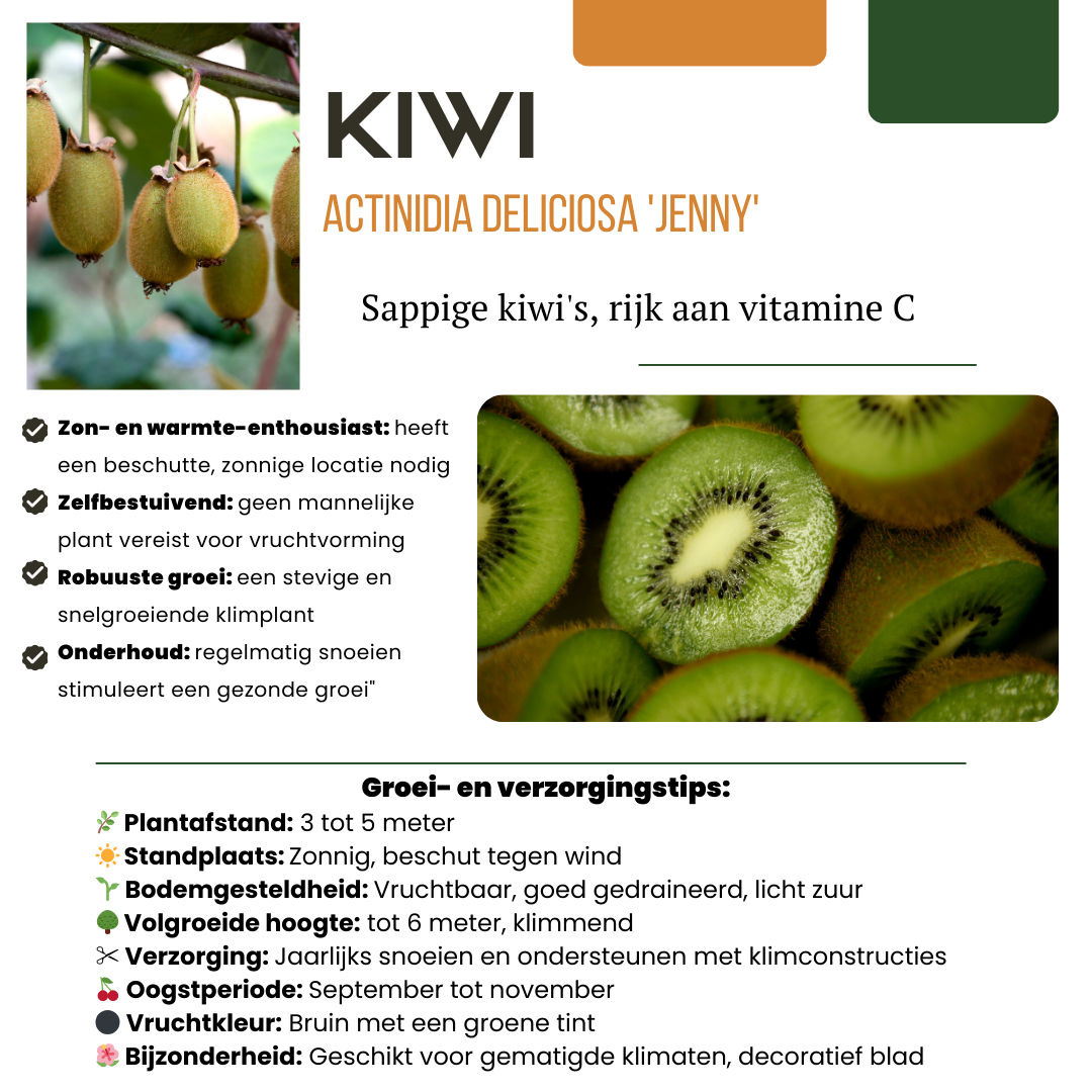 Letnia Ferajna Owocowa™ – Zestaw BIO owoców do ogrodu