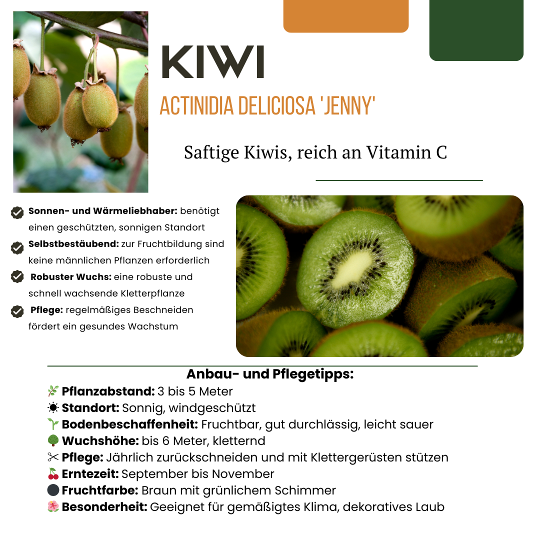 Letnia Ferajna Owocowa™ – Zestaw BIO owoców do ogrodu