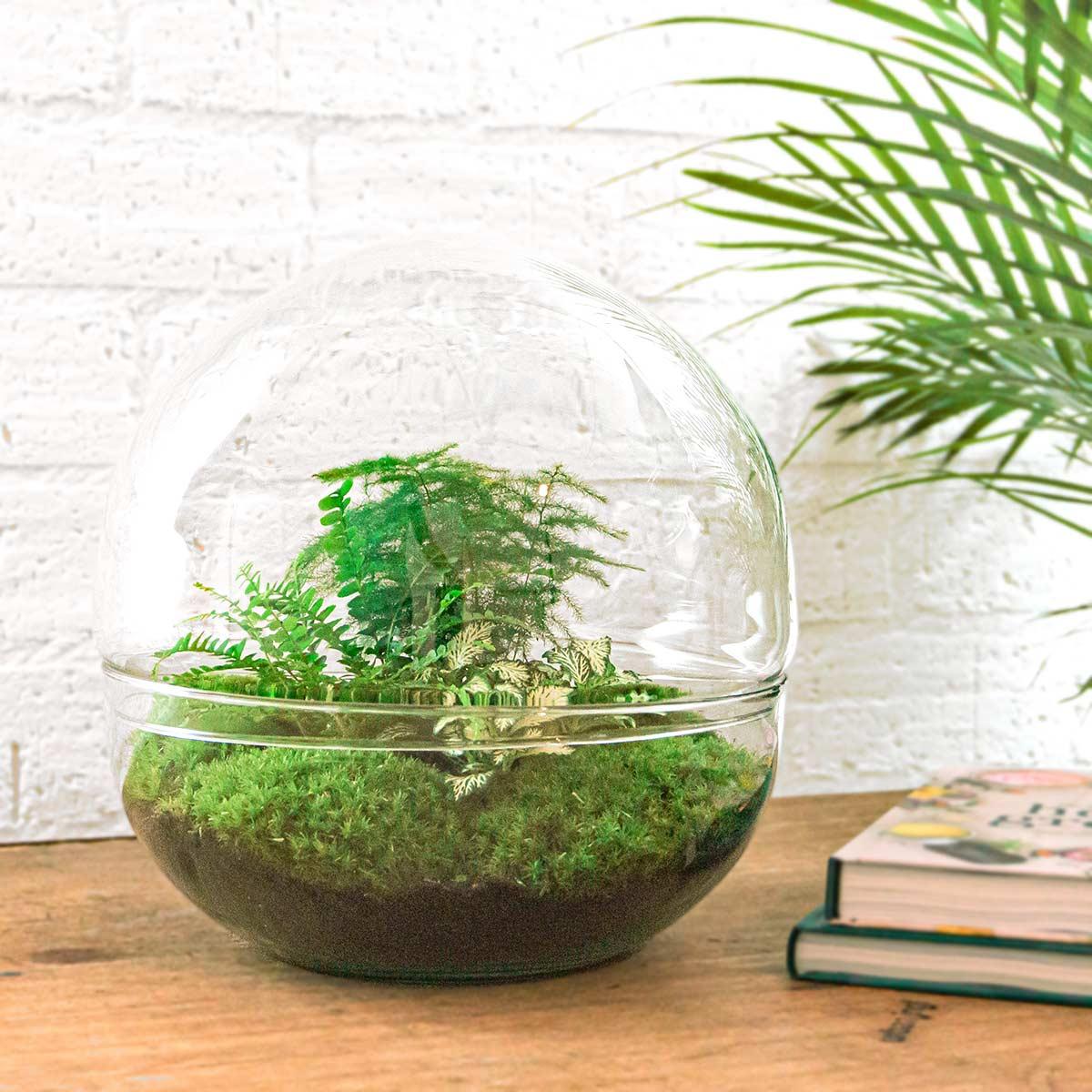 Dome XL™ – Flat Earth Encased in Glass