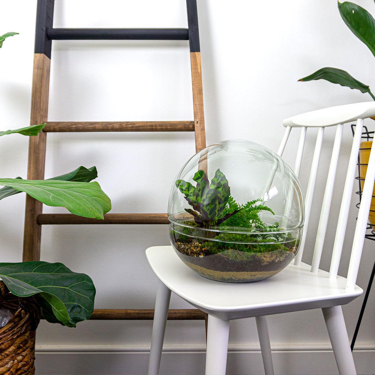 Dome XL™ – Flat Earth Encased in Glass