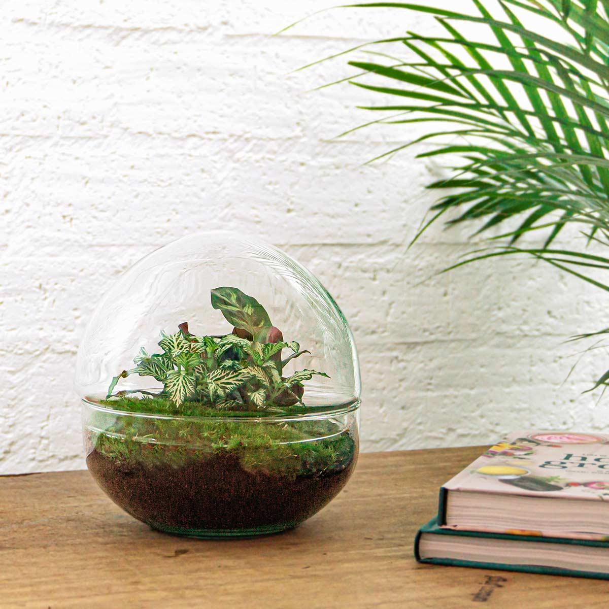 Dome™ – Green Bubble of Peace