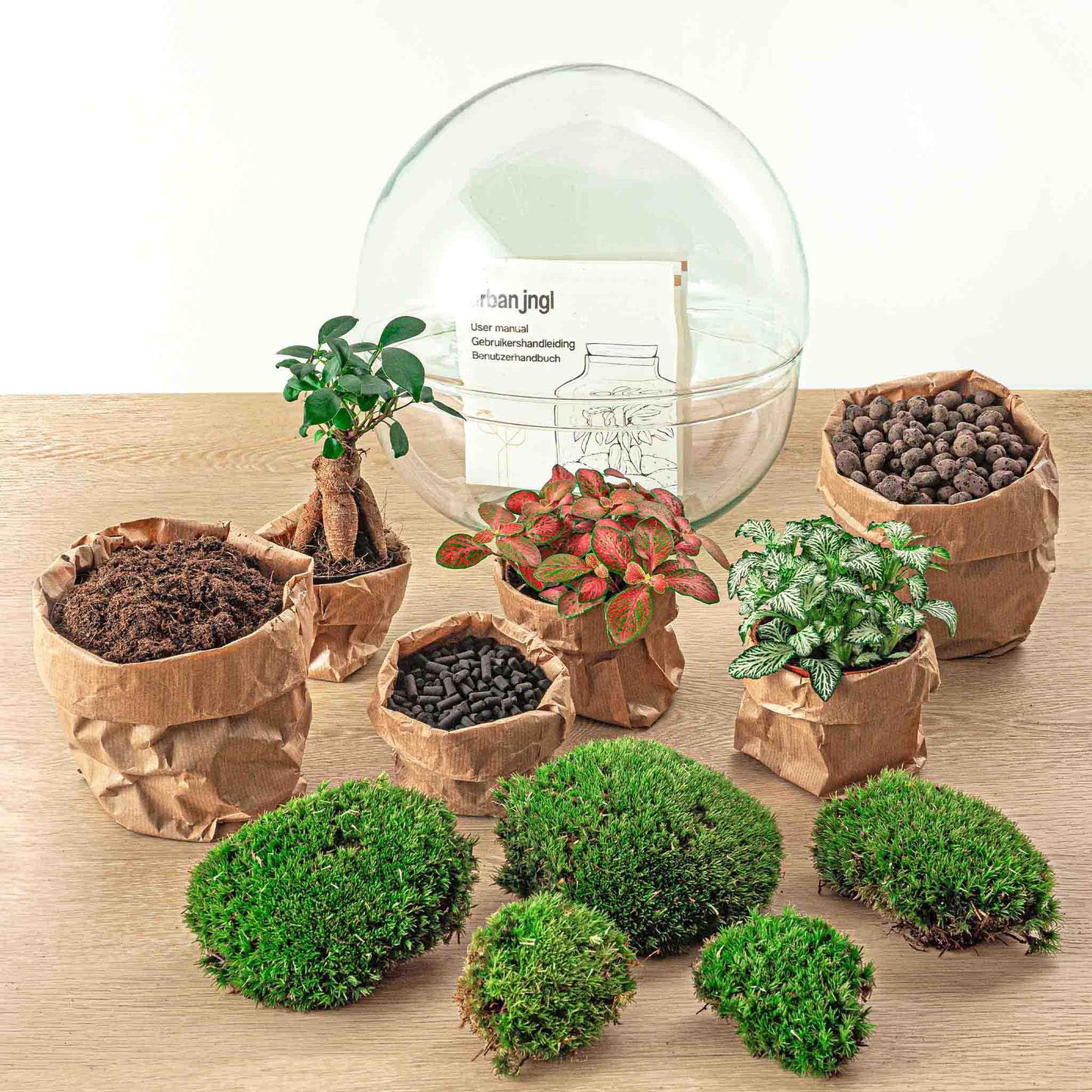 Dome XL™ Bonsai Edition – Planet des Friedens mit Ihrem eigenen Baum