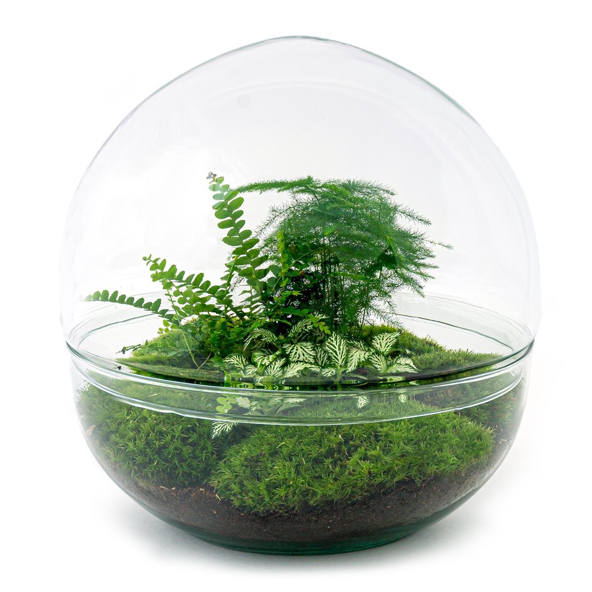 Dome XL™ – Flat Earth Encased in Glass