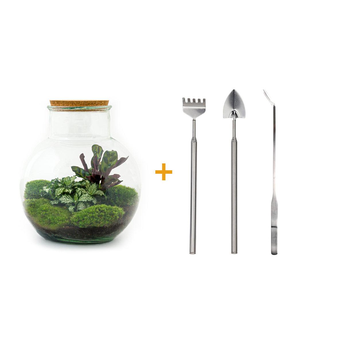 Teddy™ – A Micro-Garden as Cozy as a Teddy Bear