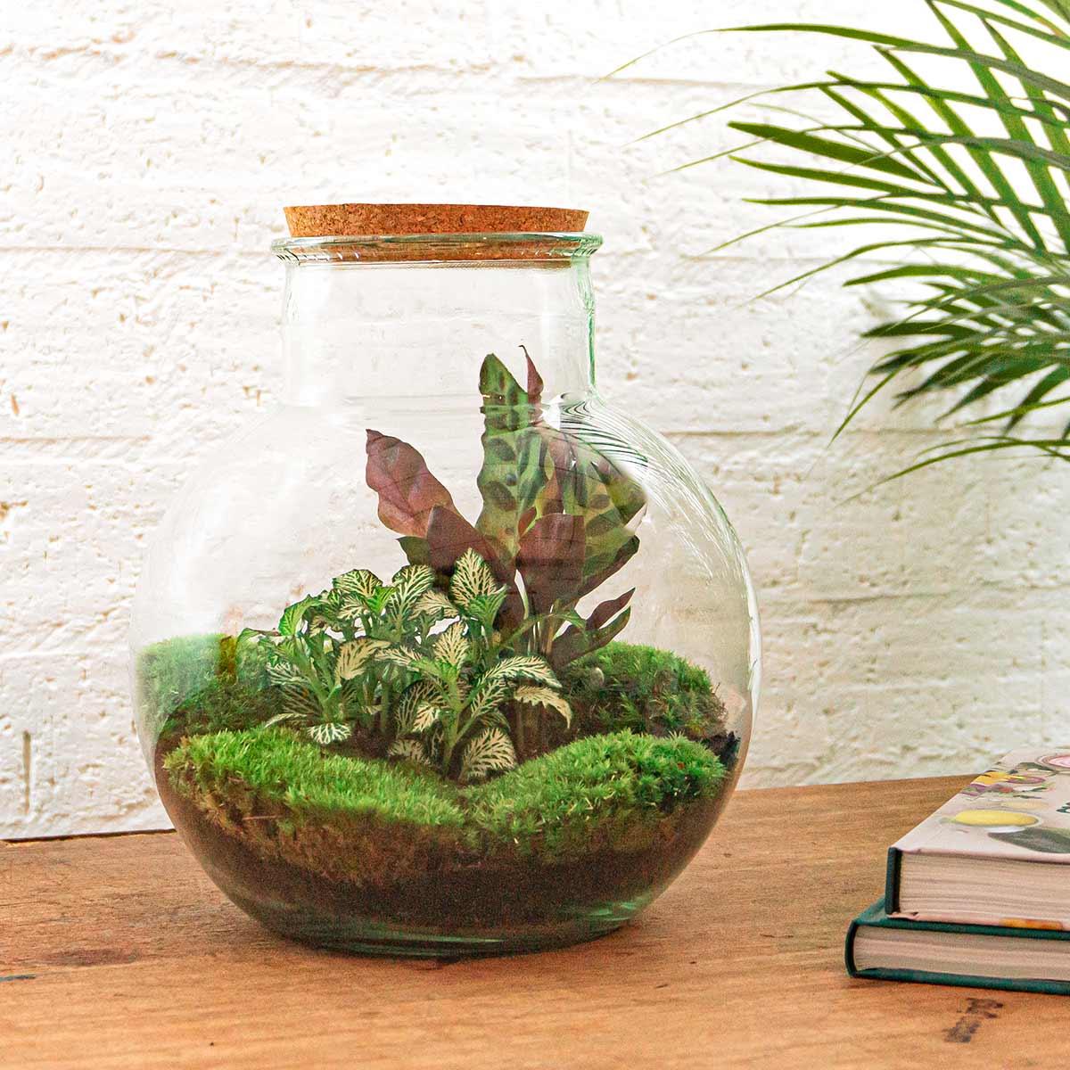 Teddy™ – A Micro-Garden as Cozy as a Teddy Bear