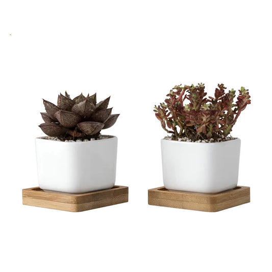 Kwadratowe Zenki™ – Porcelanowy Minimalizm z Bambusowym Akcentem