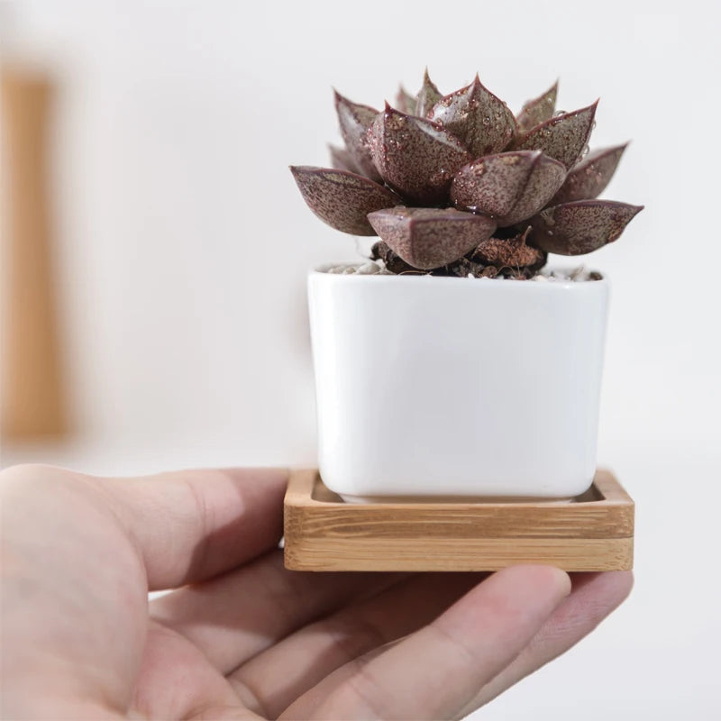 Kwadratowe Zenki™ – Porcelanowy Minimalizm z Bambusowym Akcentem