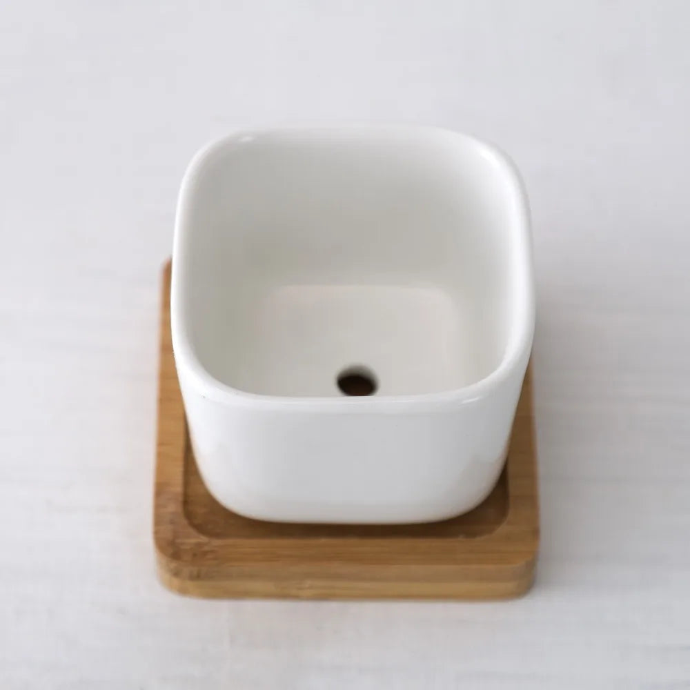 Kwadratowe Zenki™ – Porcelanowy Minimalizm z Bambusowym Akcentem
