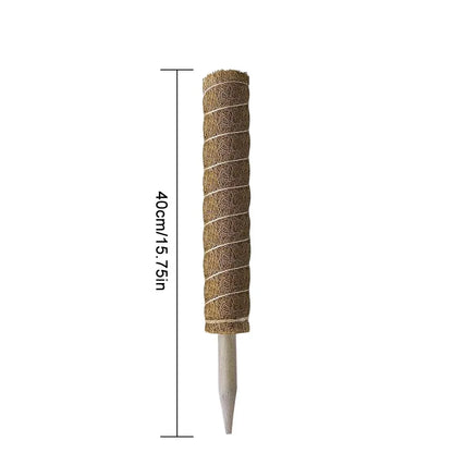 Wspinarko™ – Podpórka, która wie, że rośliny też chcą się wspinać wyżej