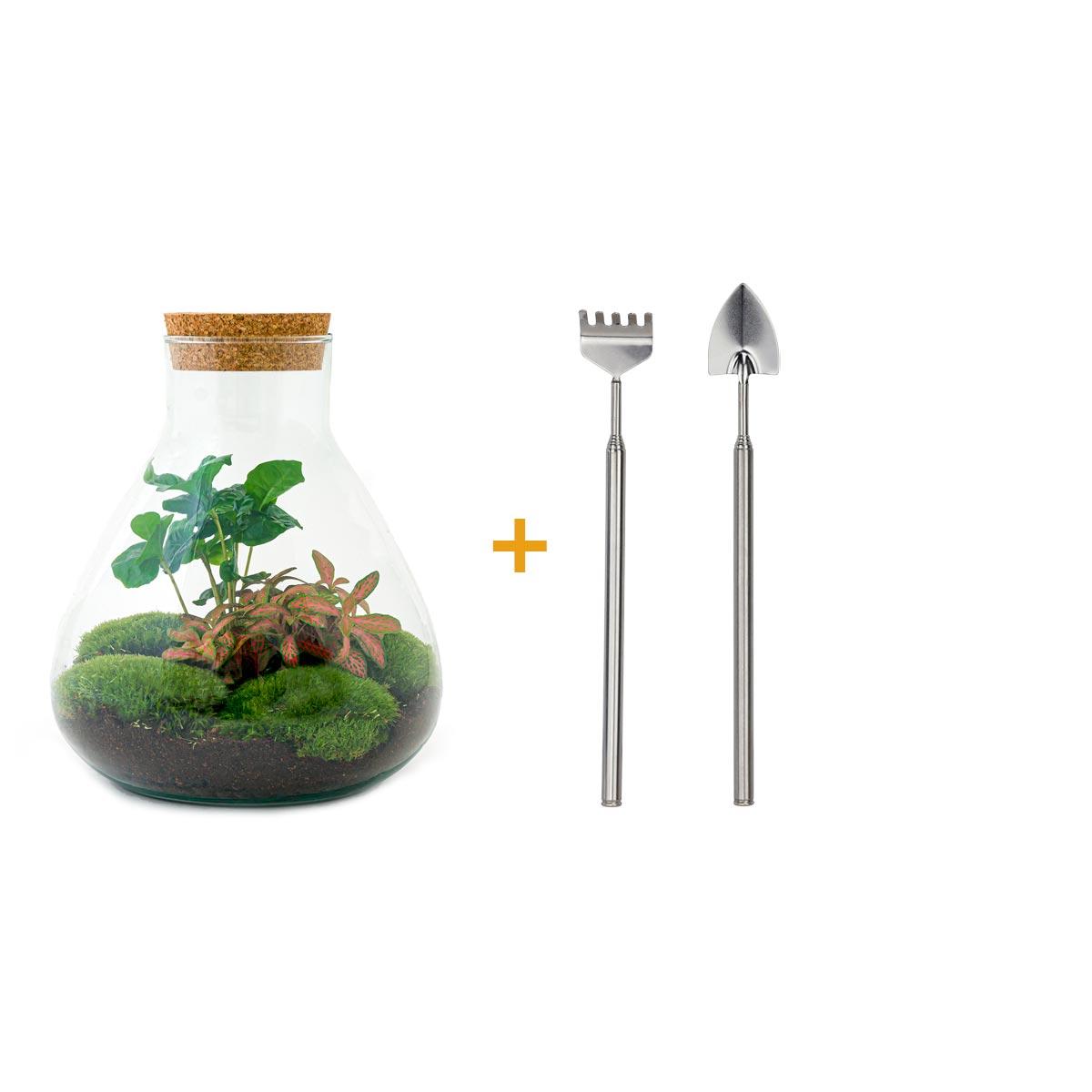 Sammie Coffea™ – Mały Barista w Szklanej Bańce ☕🌿