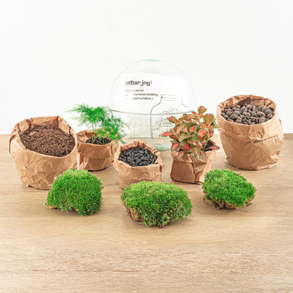 Dome Rot™ – Czerwony Kopuś Zieleni ❤️🌱