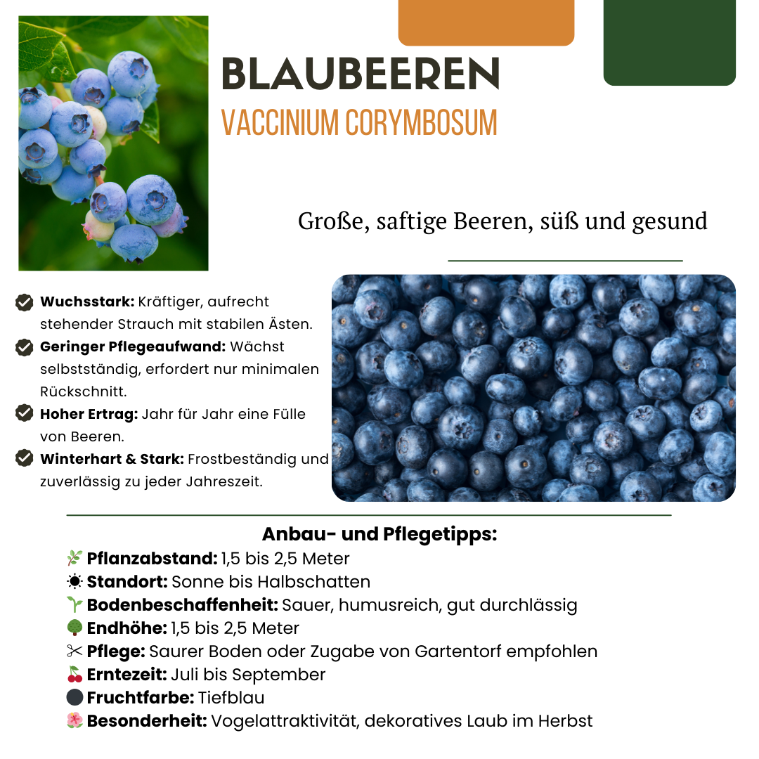 Frutti Szmugler™ – BIO Zestaw Owocowych Kusicieli