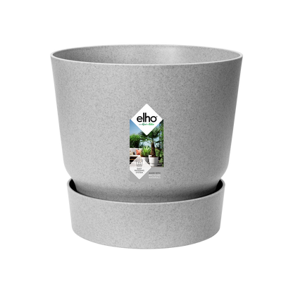Greenville Chic™ – Oaza w Doniczce