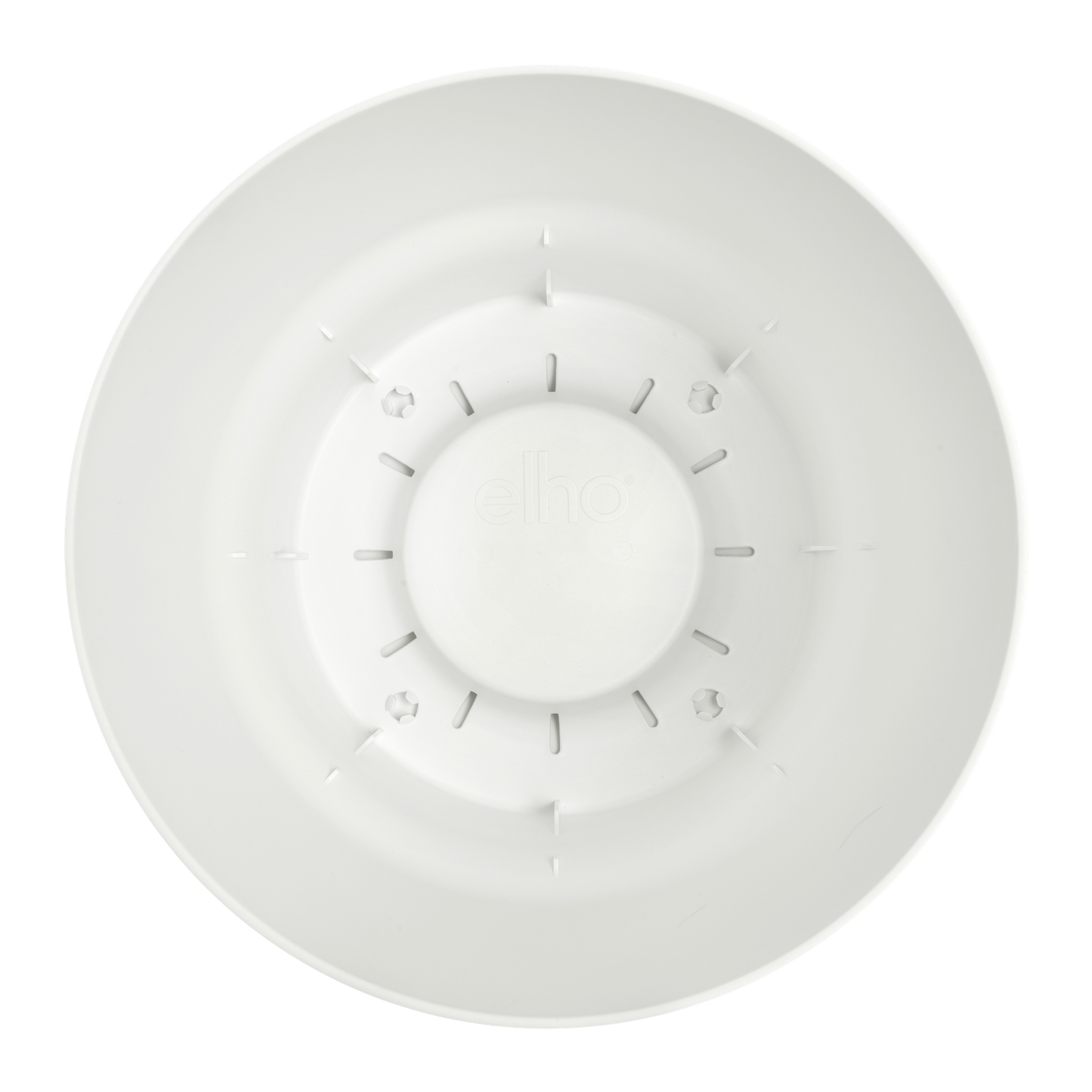 Greenville Chic™ – Oaza w Doniczce
