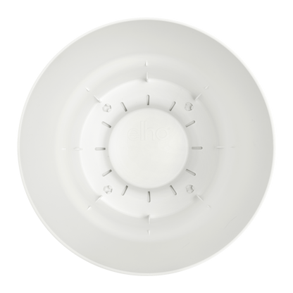 Greenville Chic™ – Oaza w Doniczce