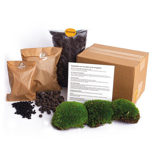 Zielony Restart XL™ – Zestaw Startowy i Uzupełniający do Terrarium DIY (L/XL)