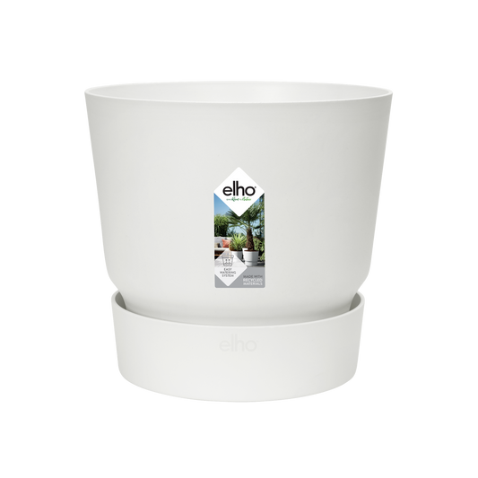 Greenville Chic™ – Oaza w Doniczce