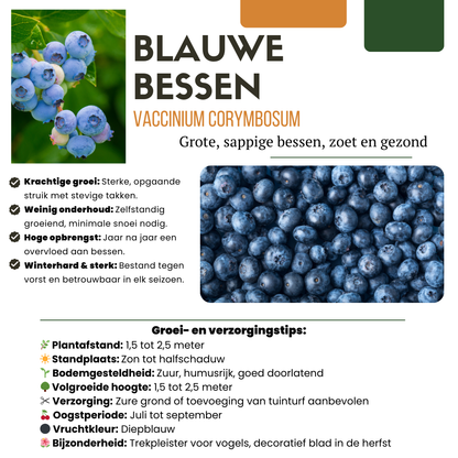 Owocowa Oaza™ – Zestaw BIO roślin owocowych