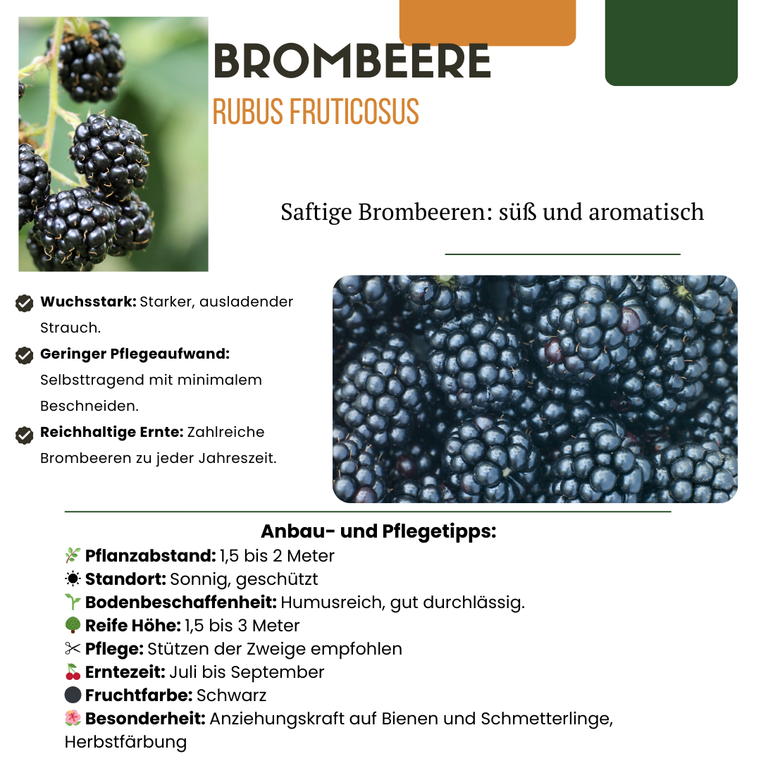 Frutti Szmugler™ – BIO Zestaw Owocowych Kusicieli