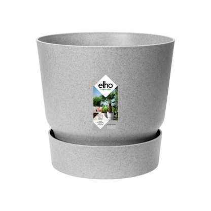 Greenville Chic™ – Oaza w Doniczce
