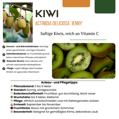 Letnia Ferajna Owocowa™ – Zestaw BIO owoców do ogrodu