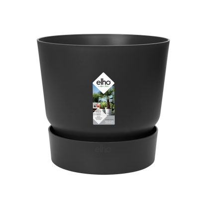 Greenville Chic™ – Oaza w Doniczce