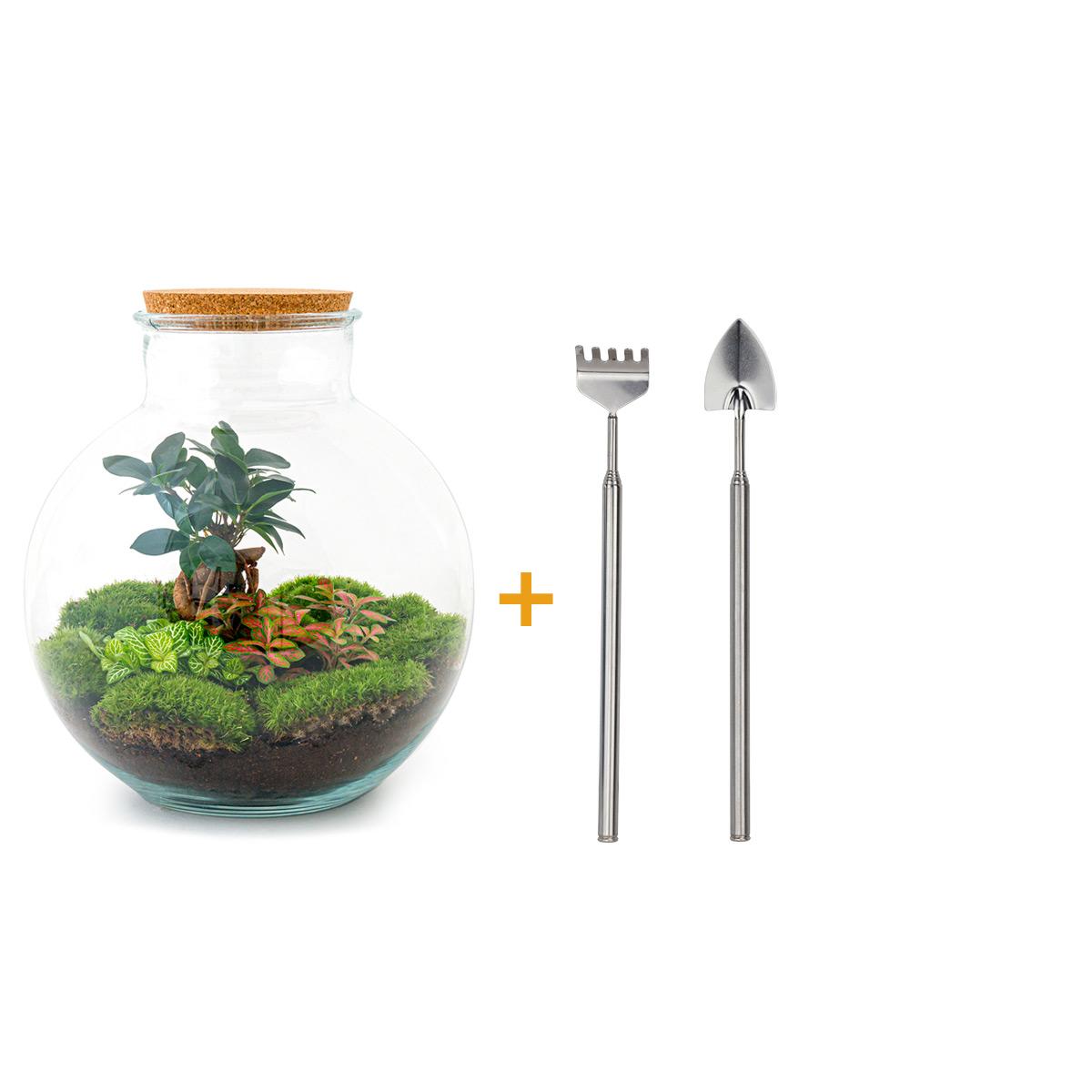 Bolder Bob™ – Gruba Butla z Charakterem