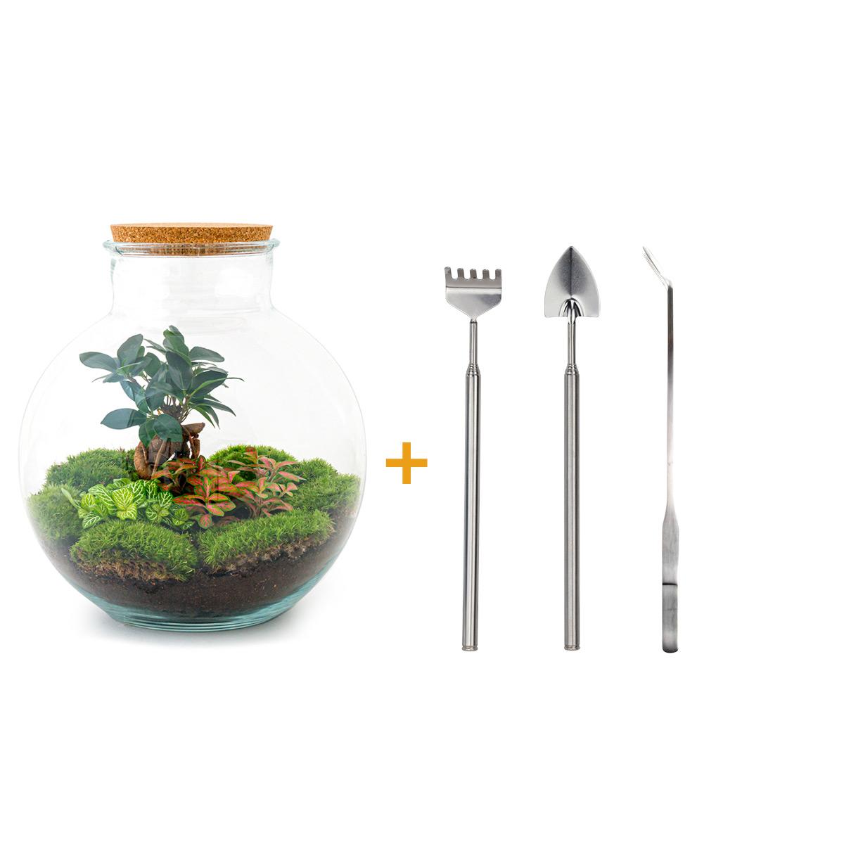 Bolder Bob™ – Gruba Butla z Charakterem
