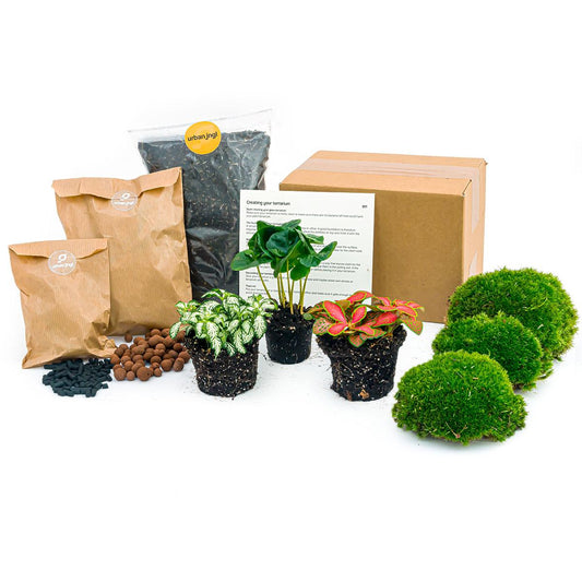 Coffea Arabica™ – Zielona Kawiarnia Starter Pack ☕🌿