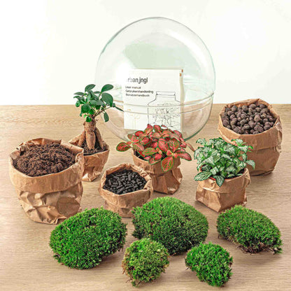 Dome XL™ Bonsai Edition – Planet des Friedens mit Ihrem eigenen Baum