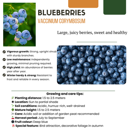Owocowa Oaza™ – Zestaw BIO roślin owocowych